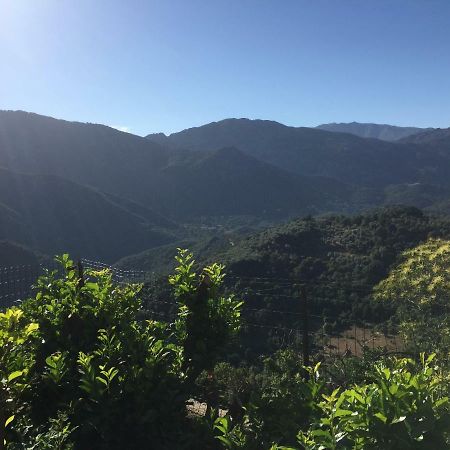 Gite , Maison De Vacances Avec Exterieur Et Terrasse Fleurie Meuble Tourisme 3 Etoiles Villa Santa-Lucia-di-Tallano Eksteriør bilde