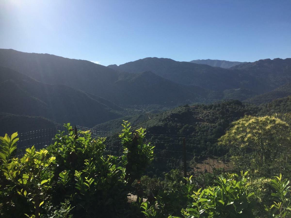 Gite , Maison De Vacances Avec Exterieur Et Terrasse Fleurie Meuble Tourisme 3 Etoiles Villa Santa-Lucia-di-Tallano Eksteriør bilde